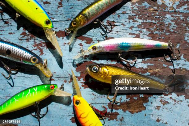 87 Crankbait Stock Photos, High-Res Pictures, and Images - Getty Images