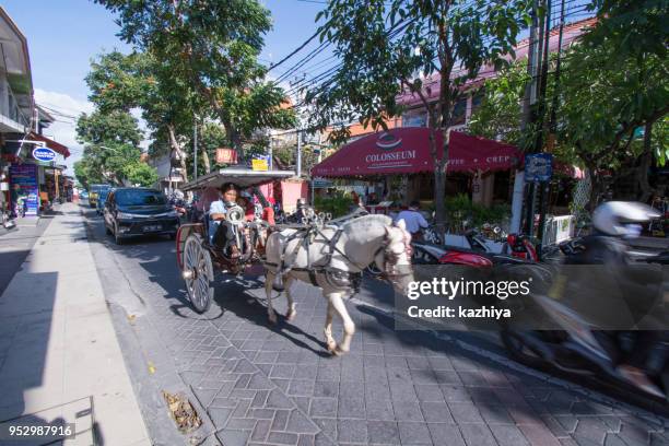 vervoer van bali - bali horse stockfoto's en -beelden