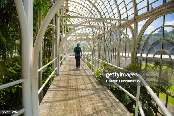 botanical garden, curitiba, pr, brazil. - curitiba stockfoto's en -beelden