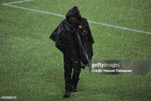 27 Reain Stock Photos, High-Res Pictures, and Images - Getty Images