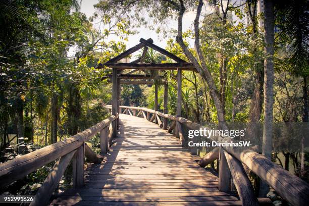 botanical garden, curitiba, pr, brazil. - curitiba foto e immagini stock