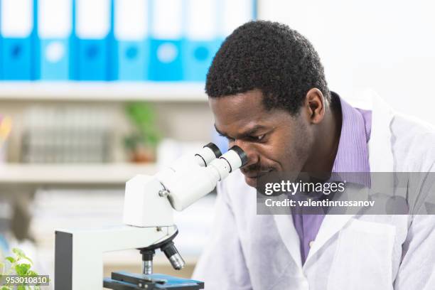microbiologist in laboratory - microplate stock pictures, royalty-free photos & images