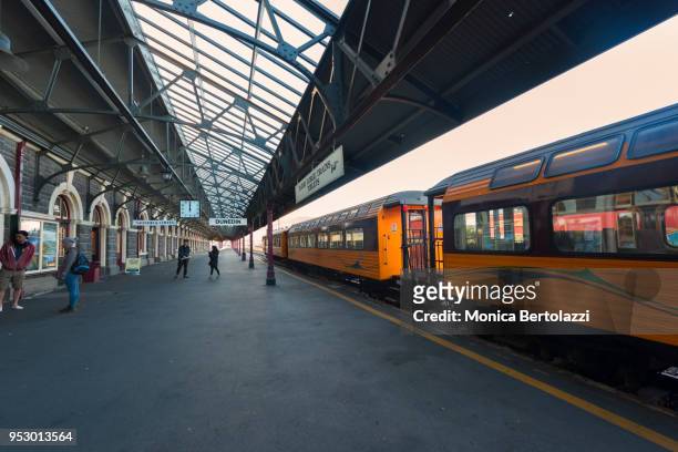 dundin train station - bertolazzi stock-fotos und bilder