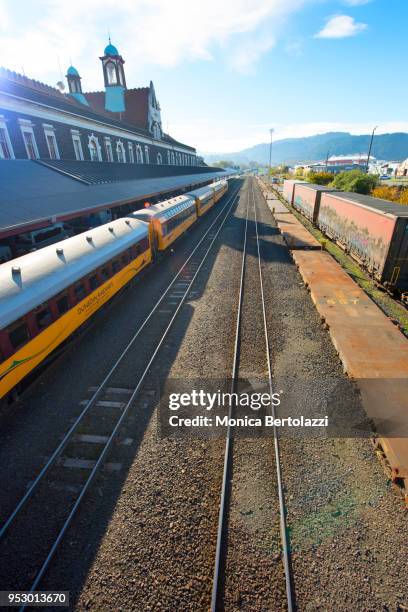 dunedin train station from above - bertolazzi stock-fotos und bilder