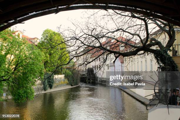 view of water canal in prague, czech republic - isabel pavia stock pictures, royalty-free photos & images