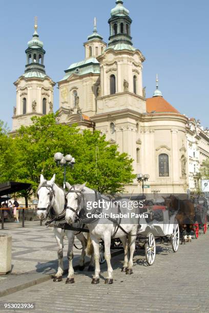 horses with buggy at old town square, prague, czech republic - isabel pavia stock pictures, royalty-free photos & images