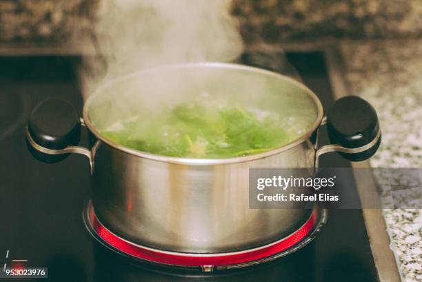 boling spinach pot - boiling steam stock pictures, royalty-free photos & images