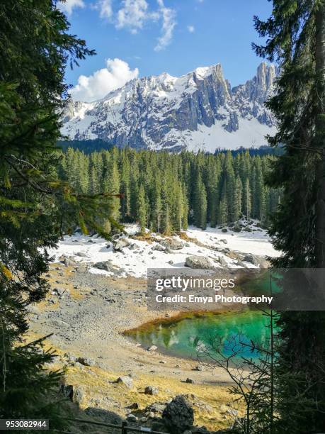 view of latemar and lake carezza - karersee - gebirgskette latemar stock-fotos und bilder