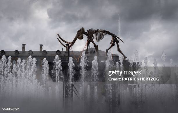 Mammoth skeleton on a lifting platform is seen behind water fountains as part of the installation 'Mammuthus Volantes' by French artist and architect...