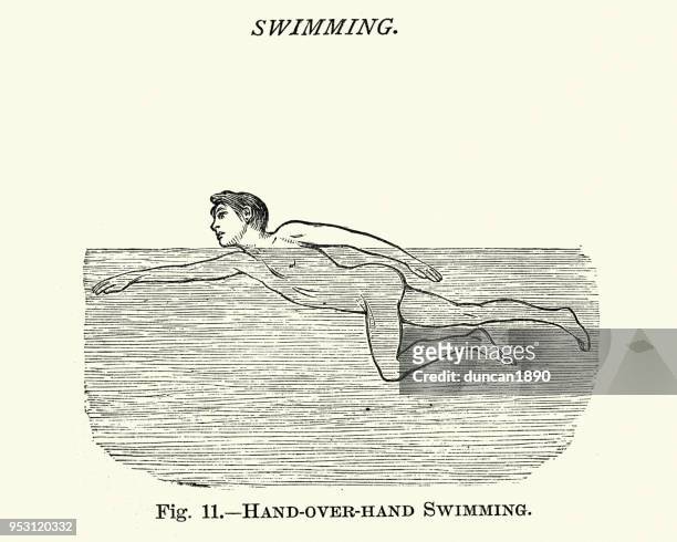 viktorianer sport, schwimmen front crawl - skinny dipping stock-grafiken, -clipart, -cartoons und -symbole