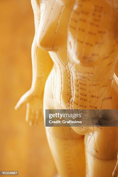 detail of female acupuncture model - acupuncture model stock pictures, royalty-free photos & images