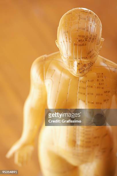 acupuncture female model - acupuncture model stock pictures, royalty-free photos & images