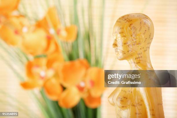 acupuncture female model - accupunctuurpop stockfoto's en -beelden