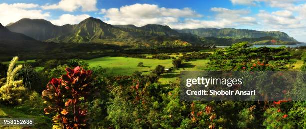 panoramic view of kauai nature, princeville, hawaii - princeville stock pictures, royalty-free photos & images