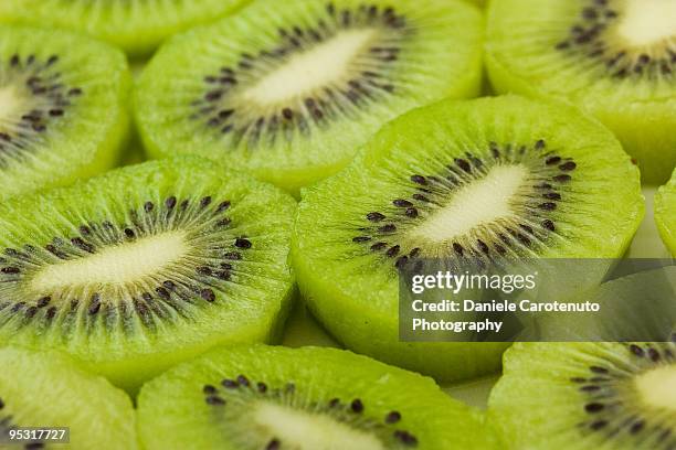 kiwi  - daniele carotenuto stock-fotos und bilder