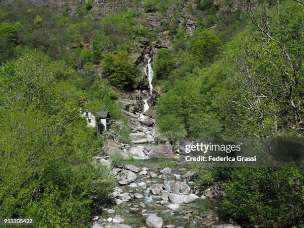 mountain stream with plenty of water in maggia valley, switzerland - giumaglio stock pictures, royalty-free photos & images