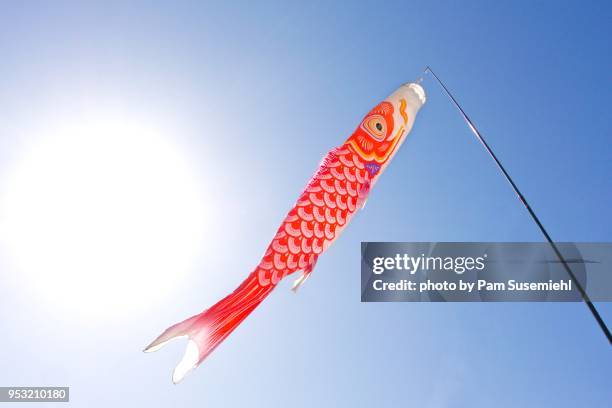 red koinobori carp-shaped windsock in blue sky - koinobori stock pictures, royalty-free photos & images