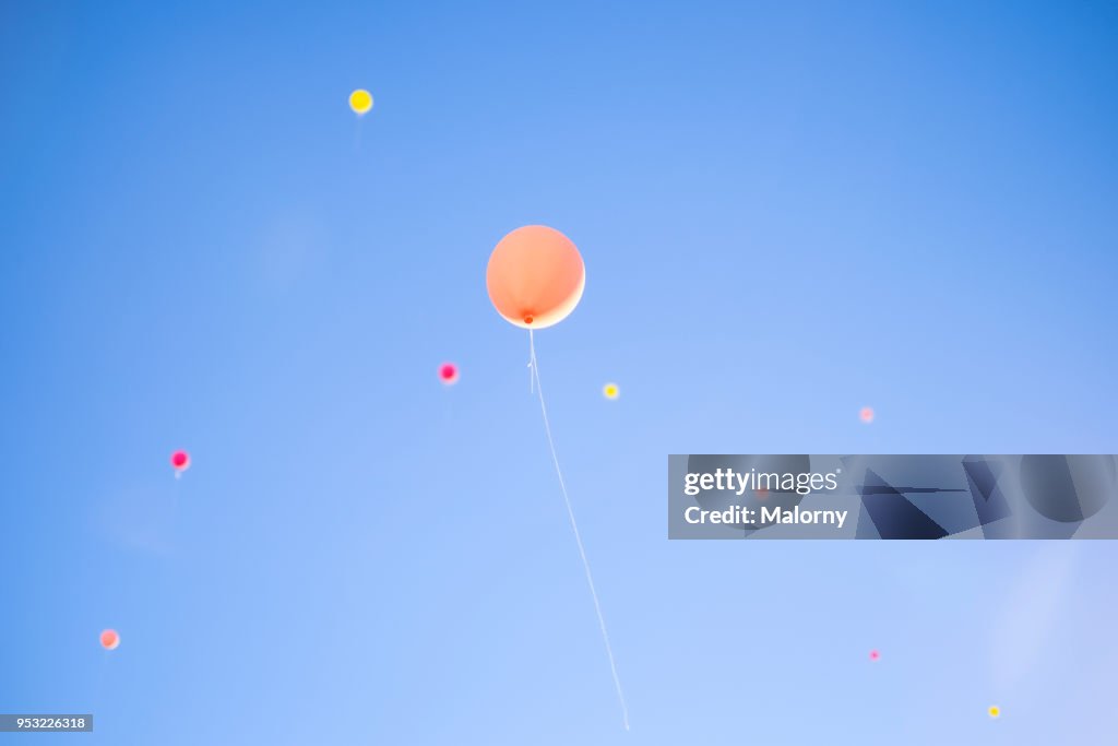 Colorful balloons flying away in blue sky. Wedding ceremony.