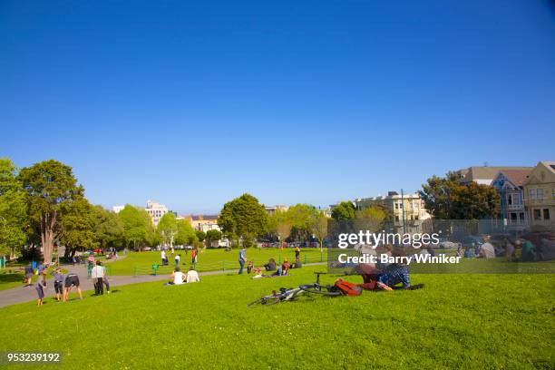 green adults resting on grass on a sunny spring day in duboce park, san francisco - duboce stock pictures, royalty-free photos & images