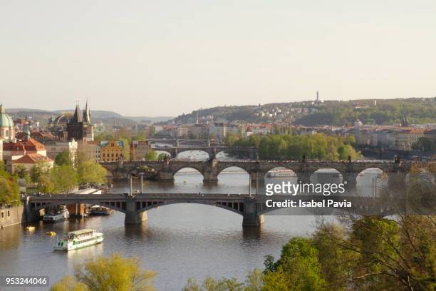 the bridges of prague, czech republic - isabel pavia stock pictures, royalty-free photos & images