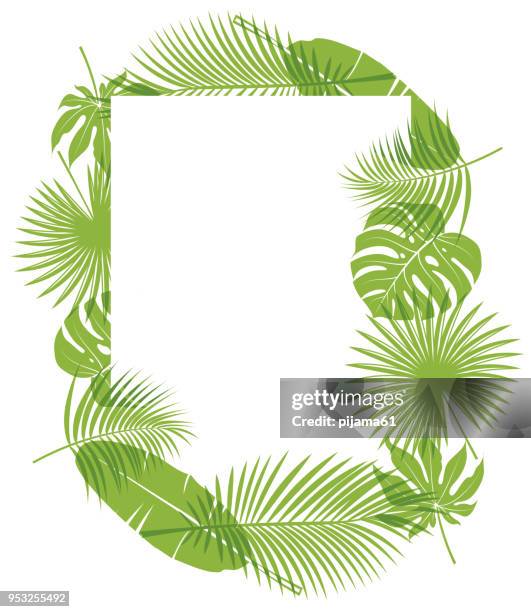 背景を持つ熱帯植物 - モンステラ点のイラスト素材／クリップアート素材／マンガ素材／アイコン素材