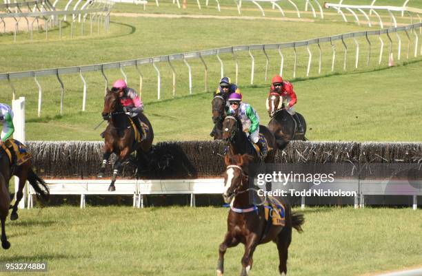 Gold Medals ridden by Shane Jackson jumps during the 3YB Scotty Stewart Brierly Steeplechase at Warrnambool Racecourse on May 01, 2018 in...