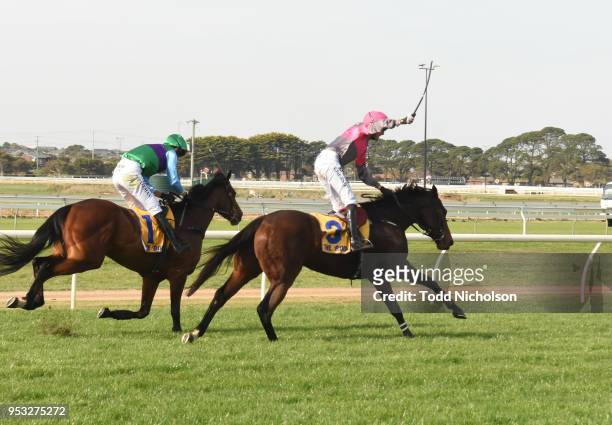 Gold Medals ridden by Shane Jackson wins the 3YB Scotty Stewart Brierly Steeplechase at Warrnambool Racecourse on May 01, 2018 in Warrnambool,...