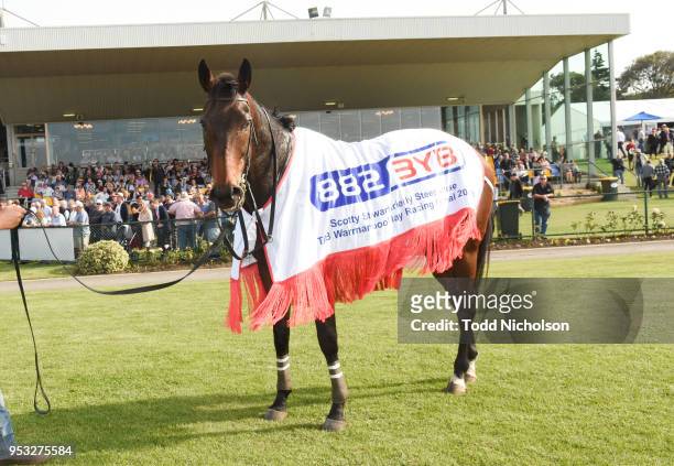 Gold Medals after winning the 3YB Scotty Stewart Brierly Steeplechase at Warrnambool Racecourse on May 01, 2018 in Warrnambool, Australia.