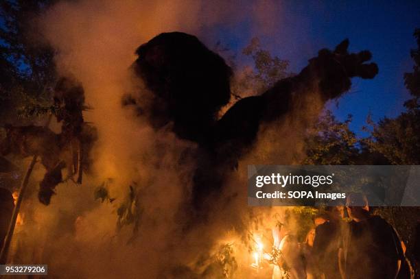 Participants set fire to a statue made of salix during the Beltane feast of Fire next to Krakau Mound in Krakow. The Beltane Fire Festival is an...