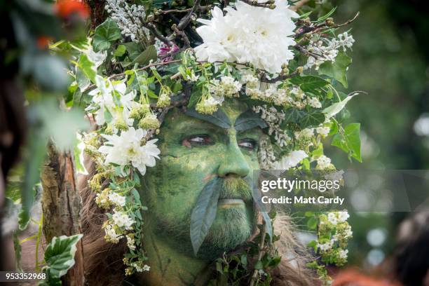 One of the Greenmen of Glastonbury is pictured as he walks with this year's Maypole, through the centre of Glastonbury, to a ceremony at Bushy Combe...