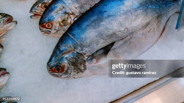 fresh fish steak - frozen fish fillets stockfoto's en -beelden