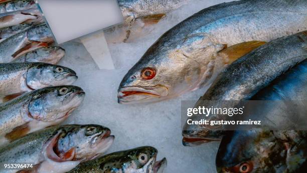 fresh fish steak - frozen fish fillets stockfoto's en -beelden