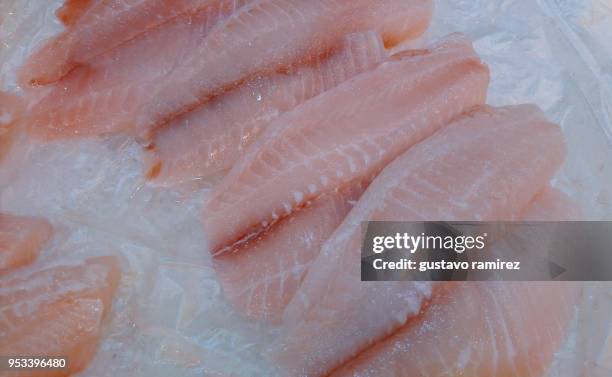 fresh fish steak - frozen fish fillets stockfoto's en -beelden