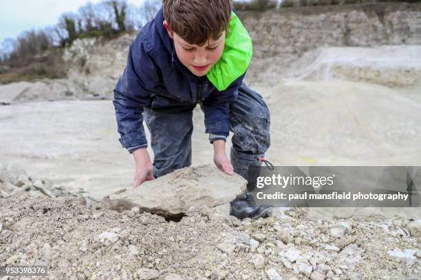 Kid Collecting Rocks 550 Kids Collecting Rocks Stock Photos, High-Res Pictures, and Images ...