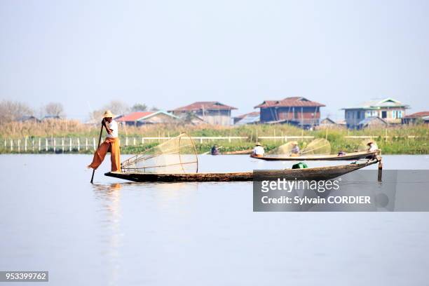 Myanmar , province de Shan, Lac Inle, village Nyaungshwe, pêcheur Intha pêchant dans le lac, pêche au filet. Myanmar, Shan state, Inle lake,...