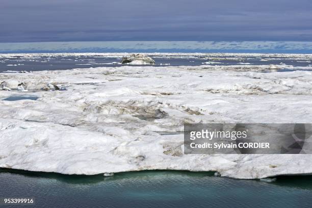 Federation de Russie, Province autonome de Chukotka, ile de Wrangel, Banquise. Russia, Chukotka autonomous district, Wrangel island, Pack ice.