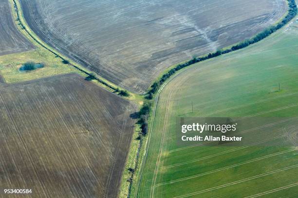 aerial view of hedgerows and fields in cambridgeshire - huntingdon stockfoto's en -beelden