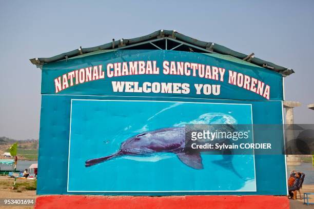 Uttar Pradesh, rivière Chambal, panneau d'entrée du sanctuaire qui protège dauphin du Gange et gavial.