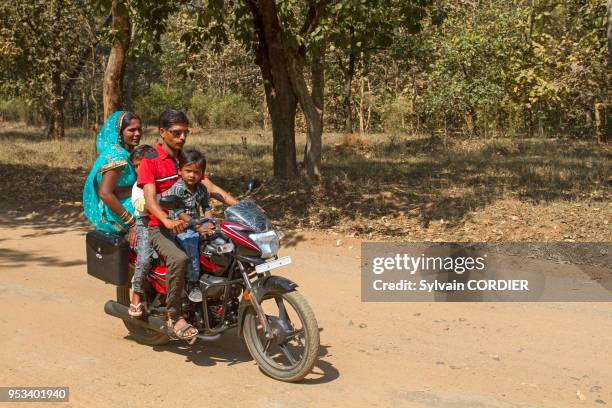 Inde , Madhya Pradesh , route passant dans le parc national de Bandhavgarh , famille sur une moto.