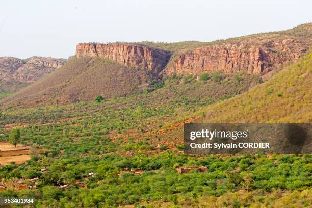 Asie,Inde,Rajasthan Parc national de Rathambore,paysage.