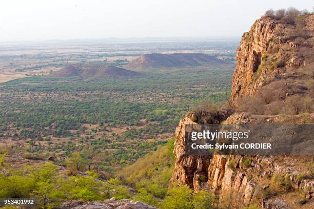 Asie,Inde,Rajasthan,Parc national de Rathambore,paysage.