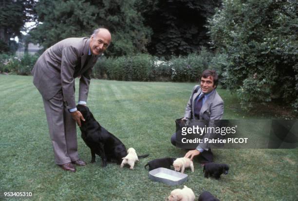 Valéry Giscard d'Estaing avec son chien et des petit chiots dans le parc de l'Elysée en 1981.
