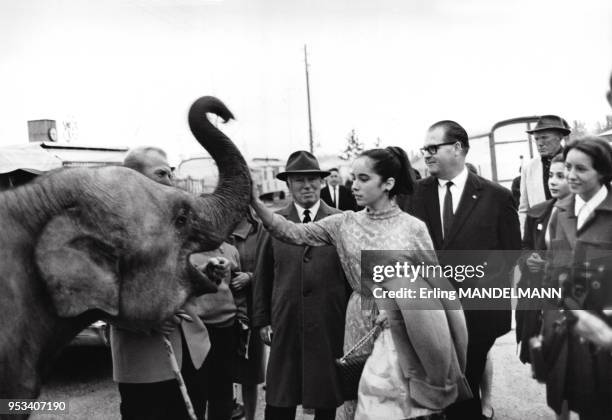 Visite de l'acteur britannique Charlie Chaplin au Cirque National Suisse Knie, à Vevey, en Suisse, en 1974.