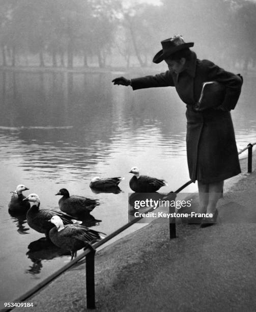 Eva Krüger, la première journaliste allemande à être autorisée à rester à Londres, donne à manger aux canards de Hyde Park, à Londres, Royaume-Uni...
