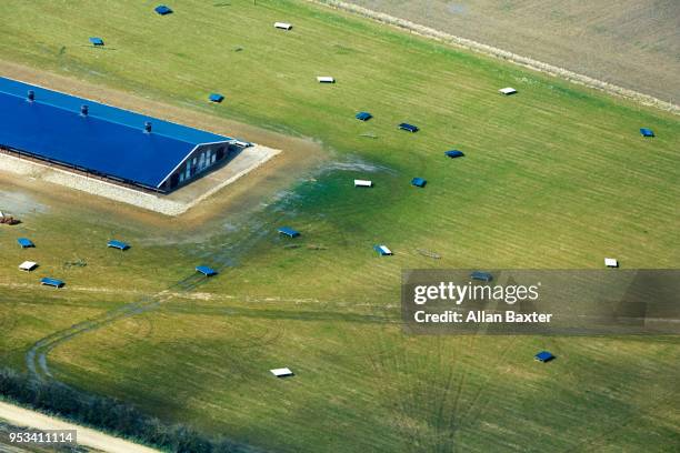 aerial view of large free range chicken farm in cambridgeshire - cambridge aerial stock pictures, royalty-free photos & images