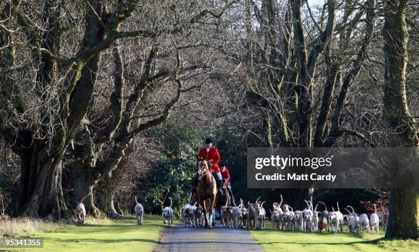 Jonathon Seed, Joint Master and Huntsman with the Avon Vale Hunt, leads the hounds and the horses as they arrive for their traditional Boxing Day...