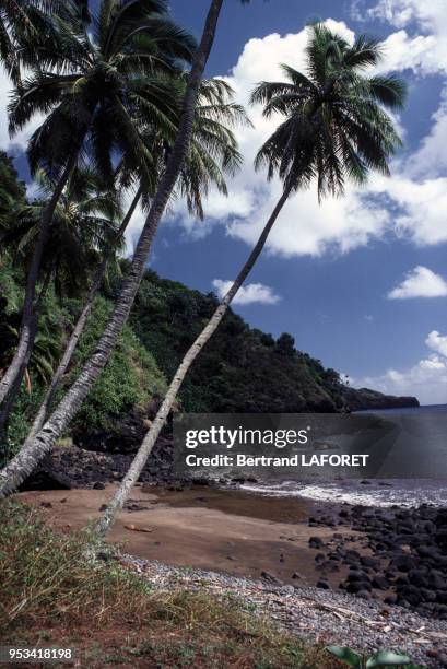 Plage de Nuku Hiva sur les îles Marquises en septembre 1980 en Polynésie française.