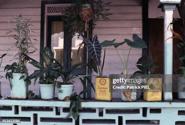 Plantes sur une terrasse de maison traditionnelle circa 1980 en Guadeloupe.