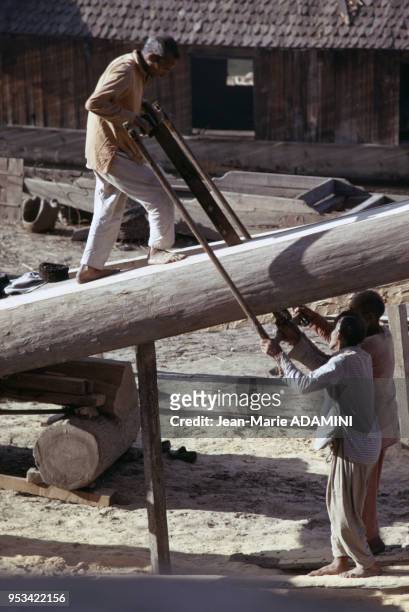 Des ouvriers indiens scient un tronc d'arbre en janvier 1974 en Inde.