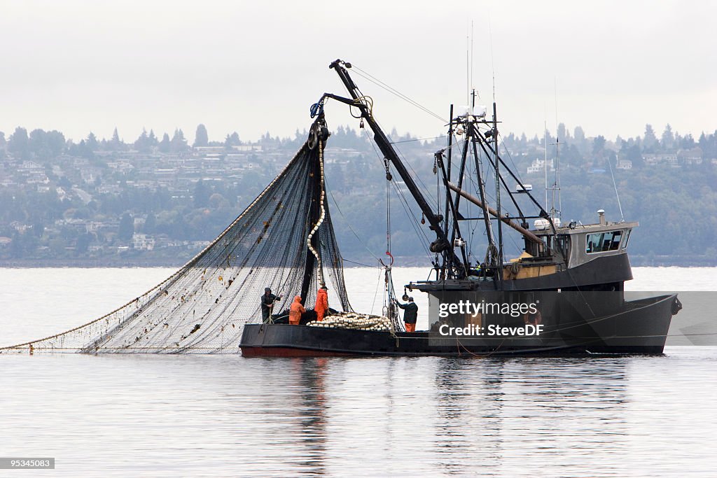 Barca da pesca commerciale